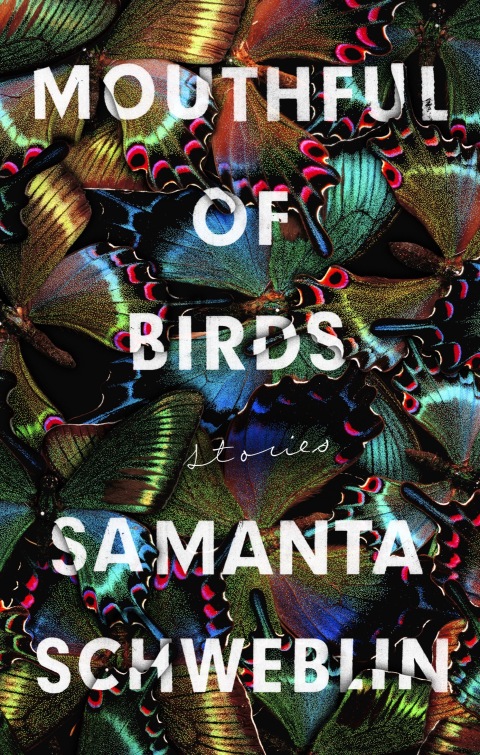 Cover image for book Mouthful of Birds
