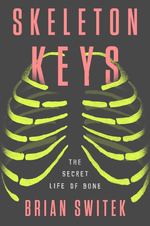 Cover image for book Skeleton Keys