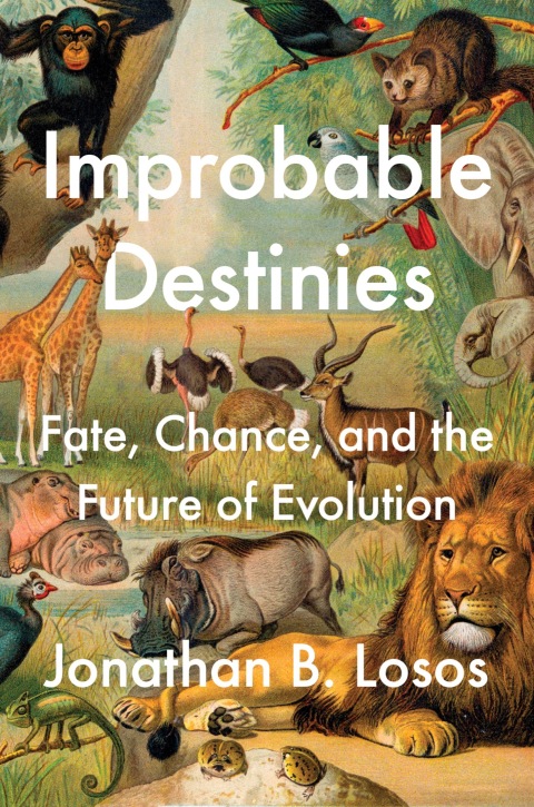 Cover image for book Improbable Destinies