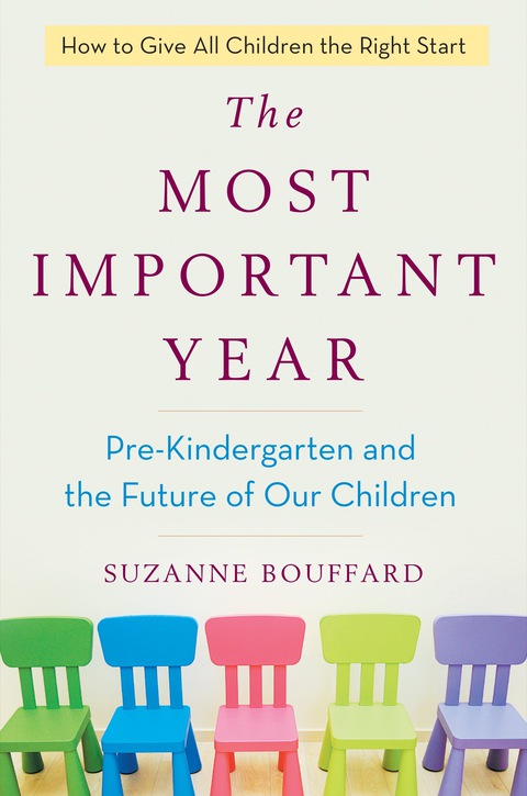 Cover image for book The Most Important Year