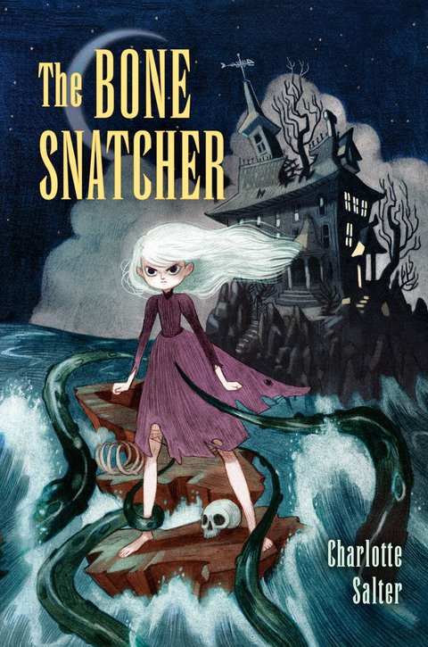 Cover image for book The Bone Snatcher