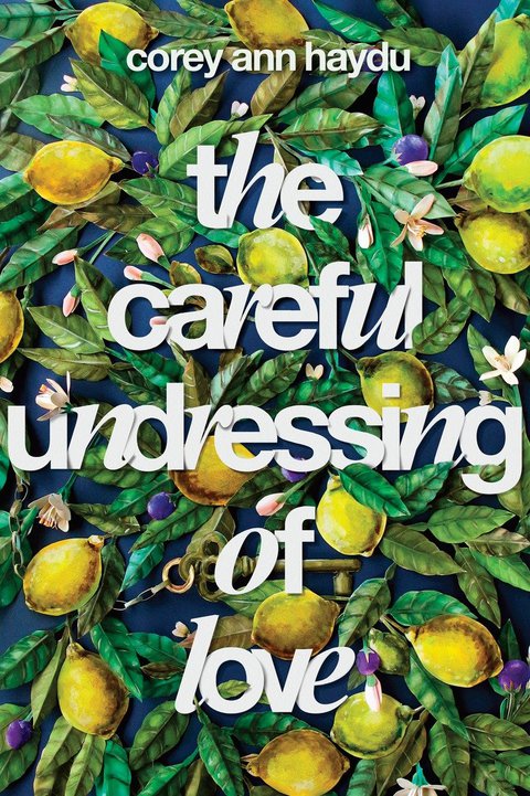 Cover image for book The Careful Undressing of Love