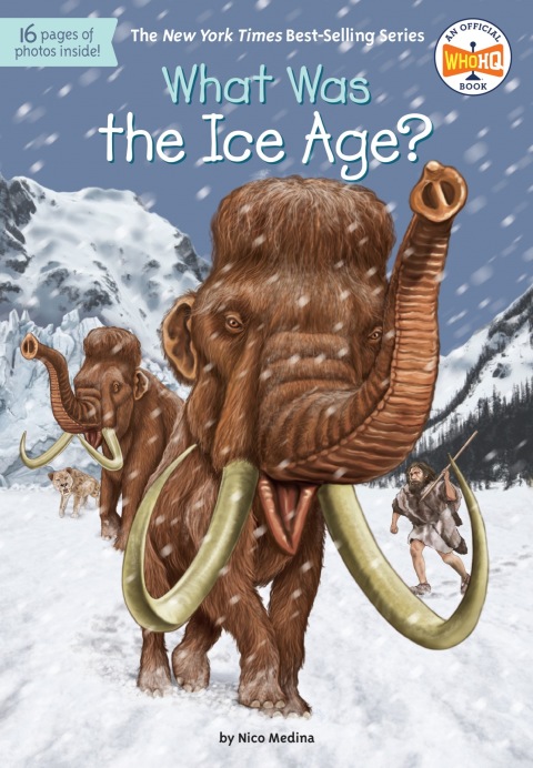 Cover image for book What Was the Ice Age?