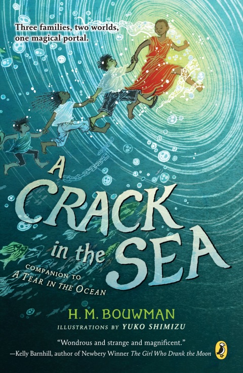 Cover image for book A Crack in the Sea