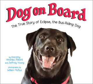 Dog on Board