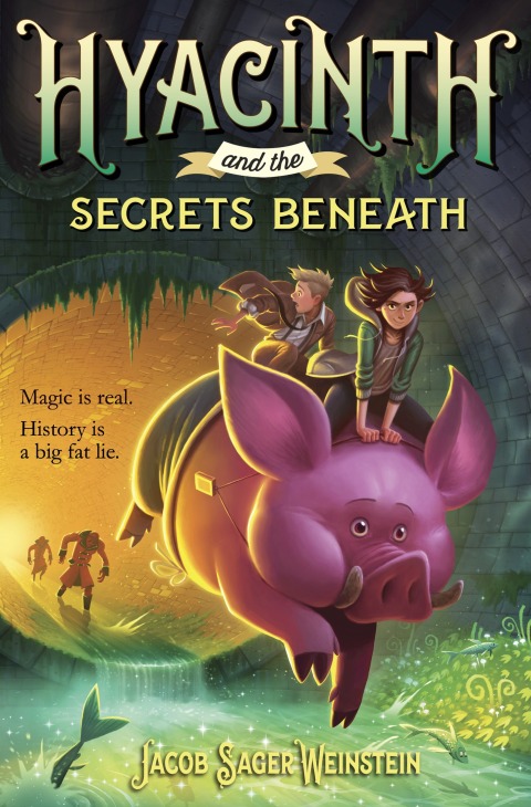 Cover image for book Hyacinth and the Secrets Beneath