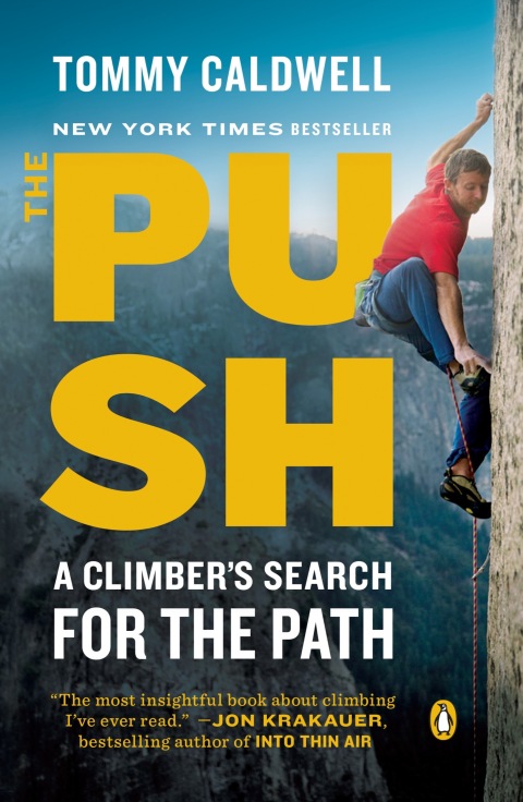 Cover image for book The Push