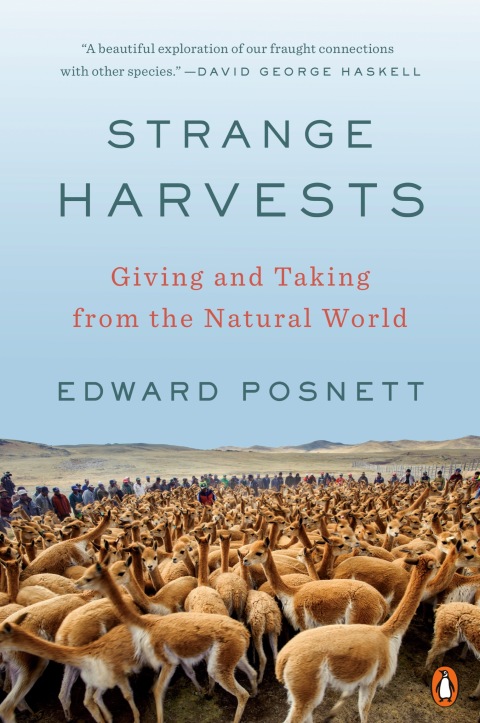 Cover image for book Strange Harvests