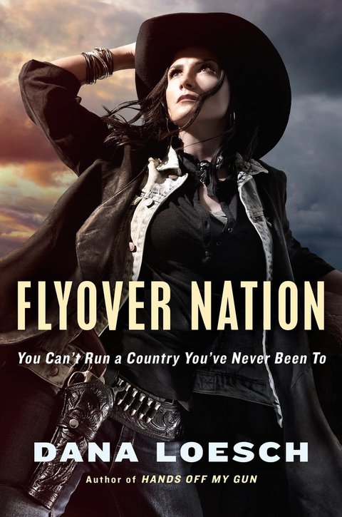 Cover image for book Flyover Nation