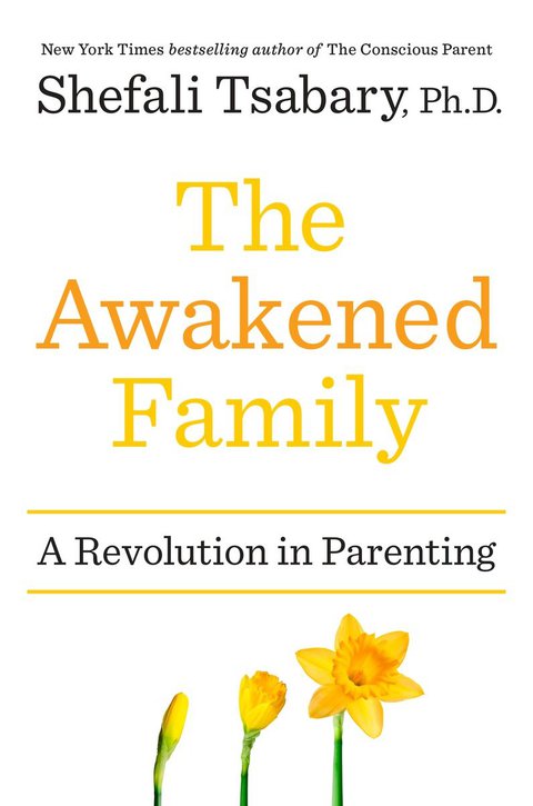 Cover image for book The Awakened Family