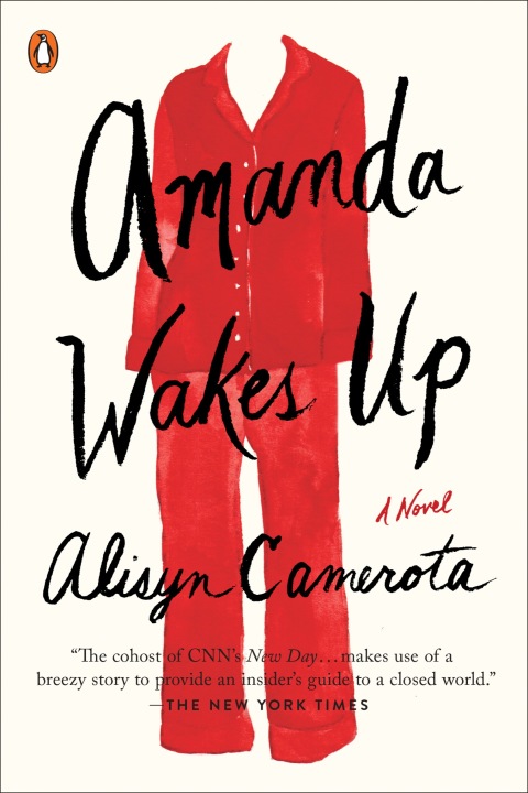 Cover image for book Amanda Wakes Up