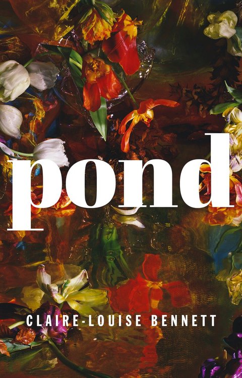 Cover image for book Pond