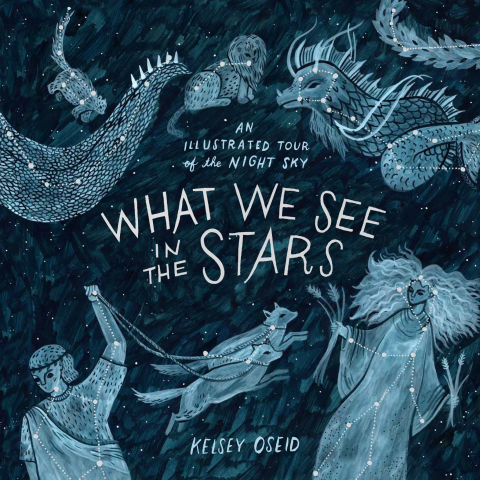 Cover image for book What We See in the Stars