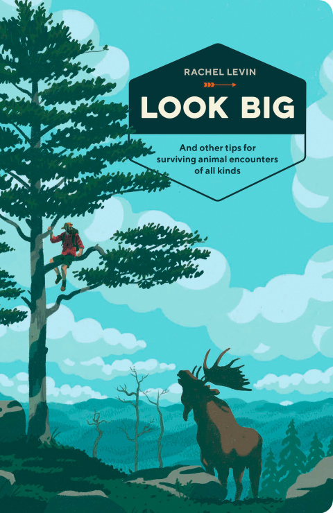 Cover image for book Look Big