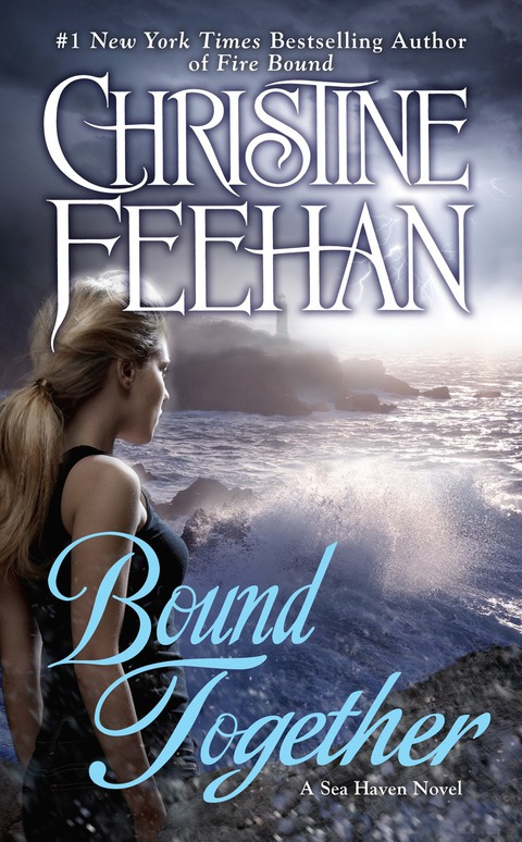 Cover image for book Bound Together