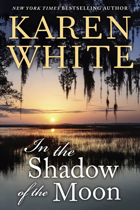 Cover image for book In the Shadow of the Moon