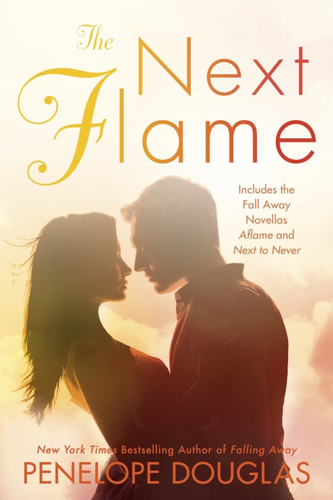 Cover image for book The Next Flame