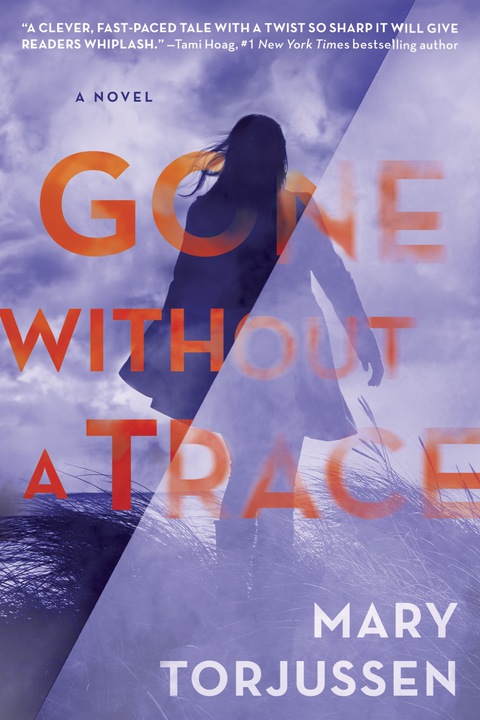 Cover image for book Gone Without a Trace