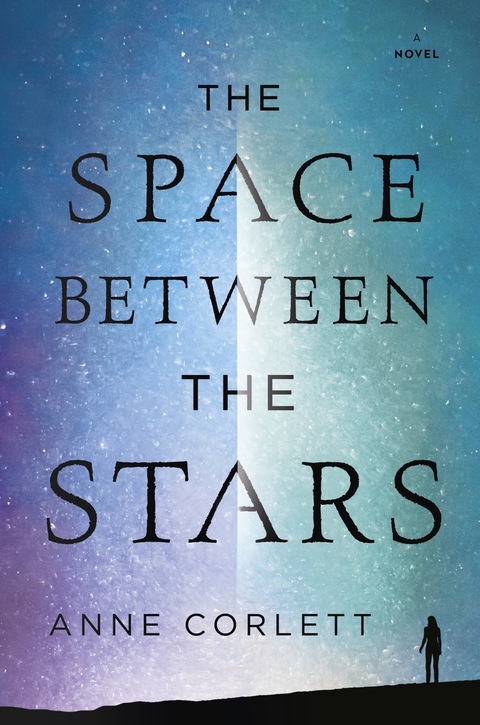 Cover image for book The Space Between the Stars