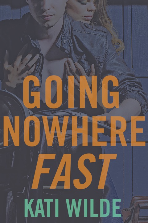 Cover image for book Going Nowhere Fast