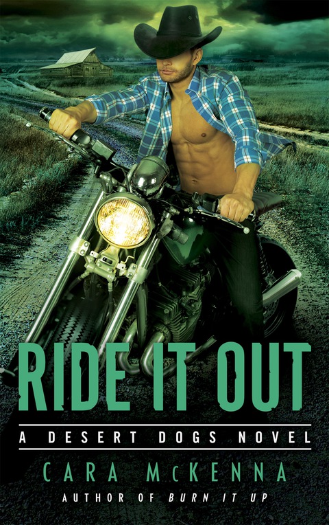 Cover image for book Ride It Out