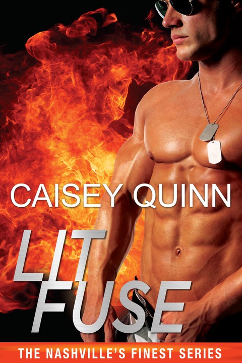 Cover image for book Lit Fuse