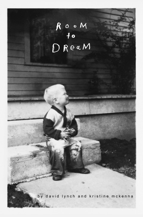 Cover image for book Room to Dream
