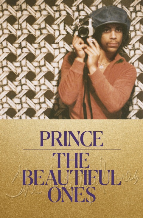 Cover image for book The Beautiful Ones