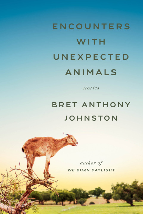 Cover image for book Encounters with Unexpected Animals