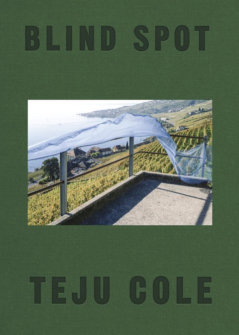 Cover image for book Blind Spot