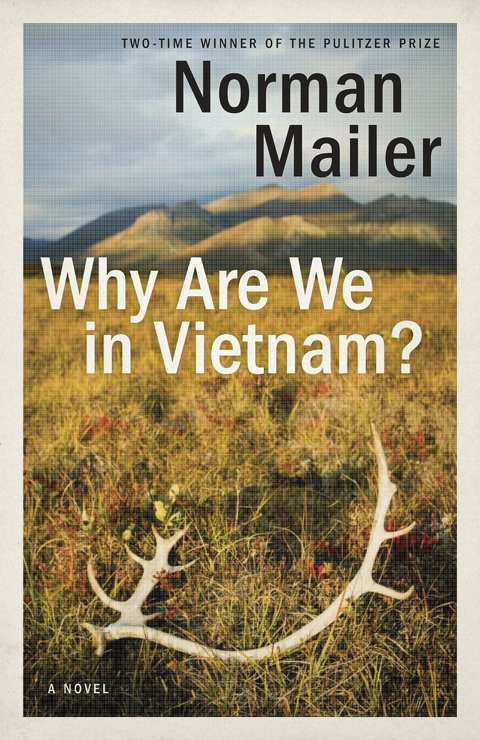 Cover image for book Why Are We in Vietnam?