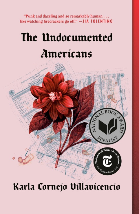 Cover image for book The Undocumented Americans