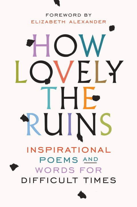 Cover image for book How Lovely the Ruins