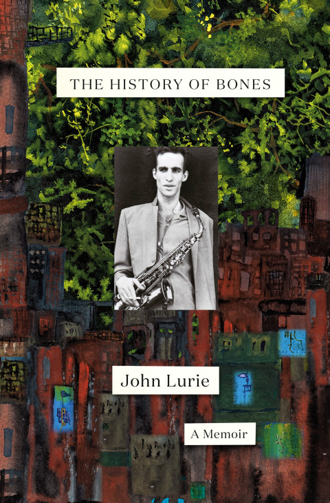 Cover image for book The History of Bones