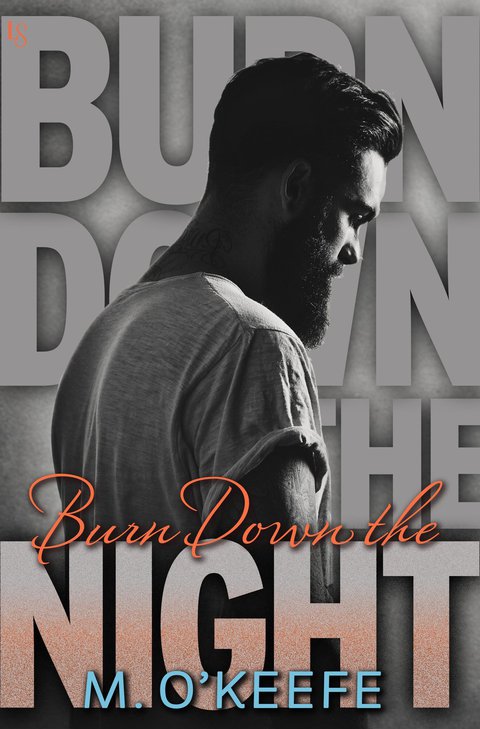 Cover image for book Burn Down the Night