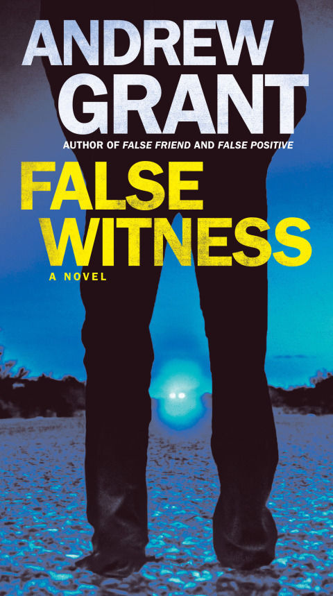 Cover image for book False Witness