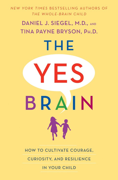 Cover image for book The Yes Brain