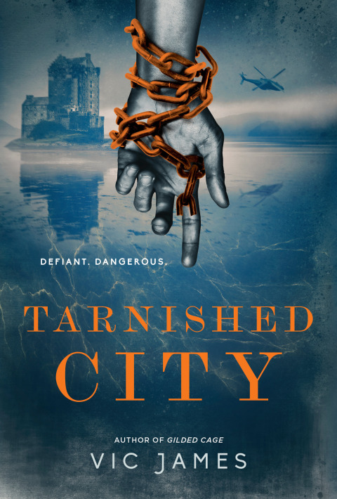 Cover image for book Tarnished City