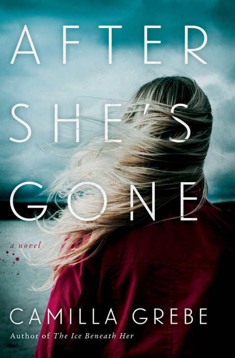 Cover image for book After She's Gone