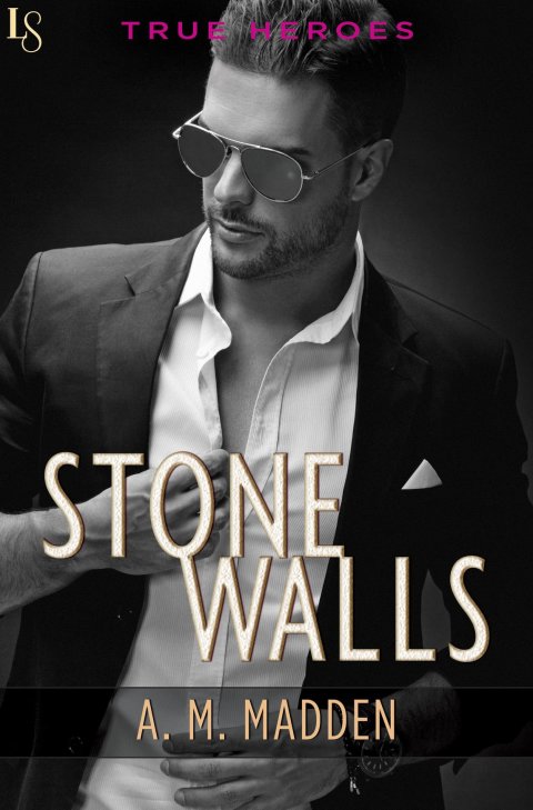 Cover image for book Stone Walls