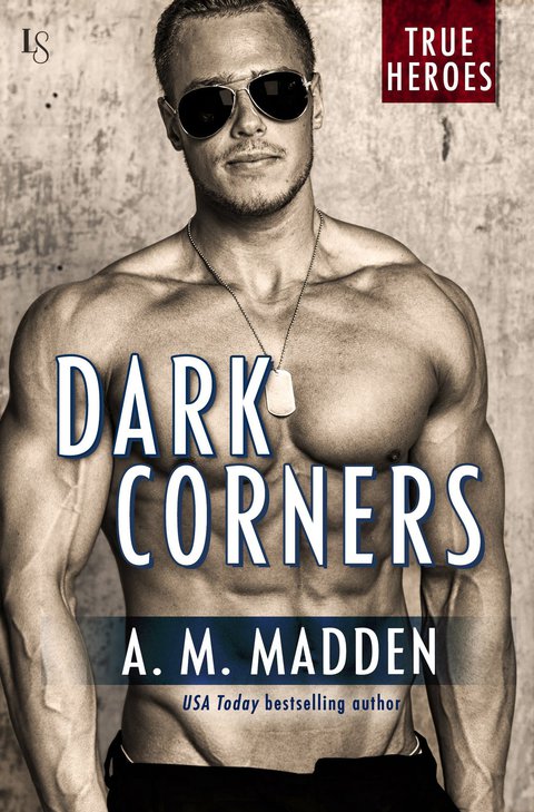 Cover image for book Dark Corners