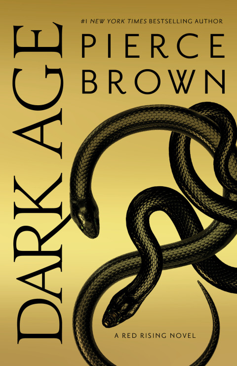Cover image for book Dark Age