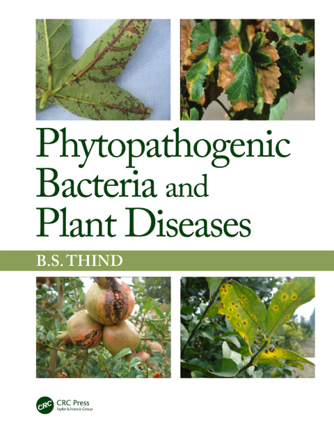 Cover image for book Phytopathogenic Bacteria and Plant Diseases