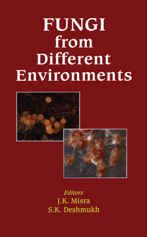 Cover image for book Fungi from Different Environments