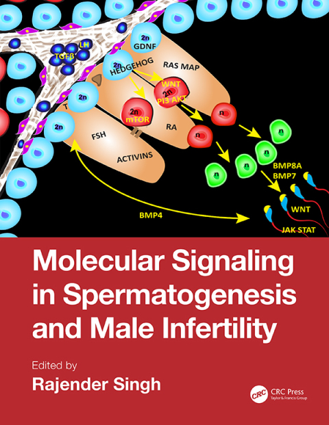 Cover image for book Molecular Signaling in Spermatogenesis and Male Infertility