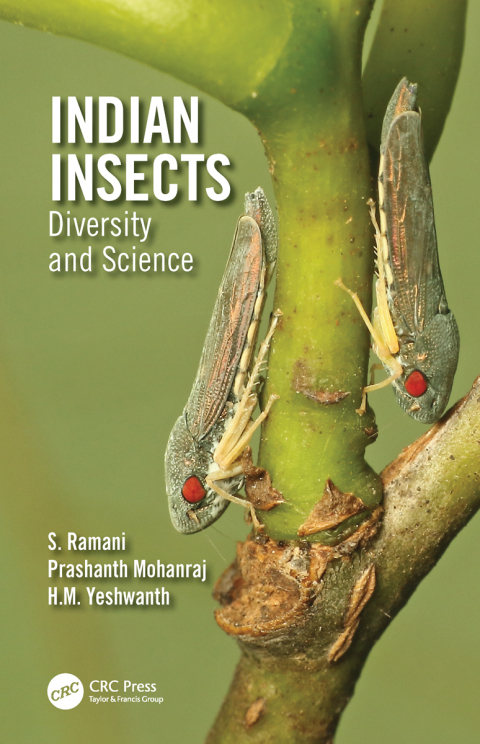 Cover image for book Indian Insects