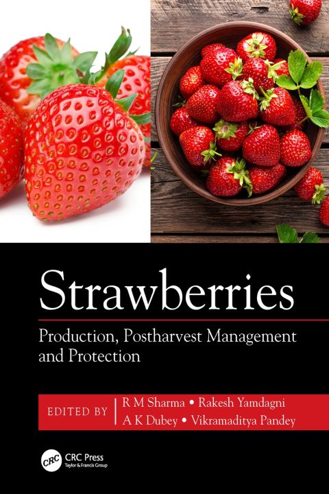 Cover image for book Strawberries