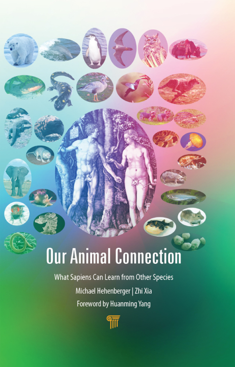 Cover image for book Our Animal Connection