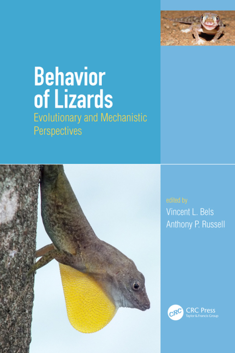 Cover image for book Behavior of Lizards
