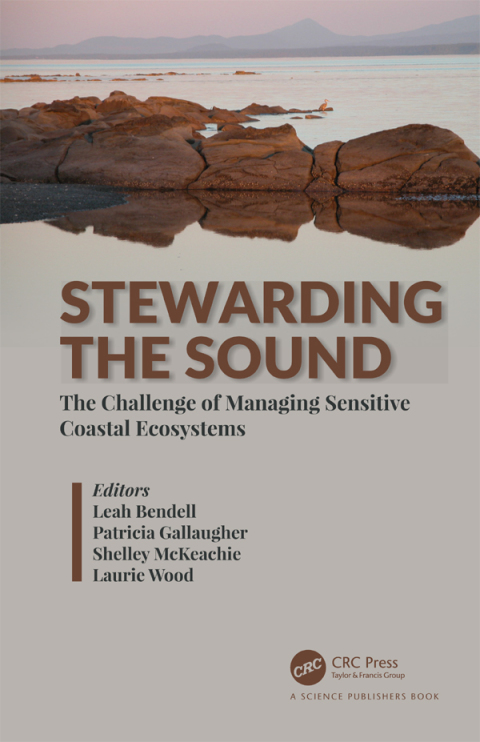 Cover image for book Stewarding the Sound